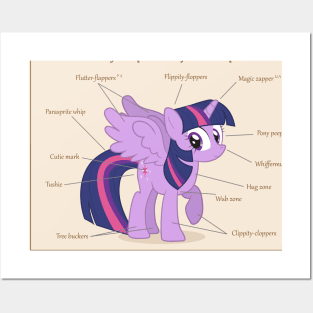 Pony Anatomy - Female Equine Posters and Art